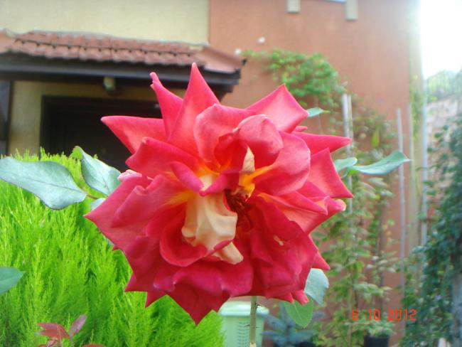 Name:  DSC00530.jpg
Views: 923
Size:  44.4 KB