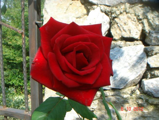 Name:  DSC00617.jpg
Views: 843
Size:  53.9 KB