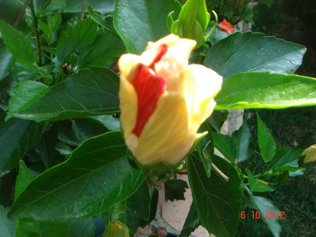 Name:  DSC00582.jpg
Views: 1066
Size:  45.7 KB