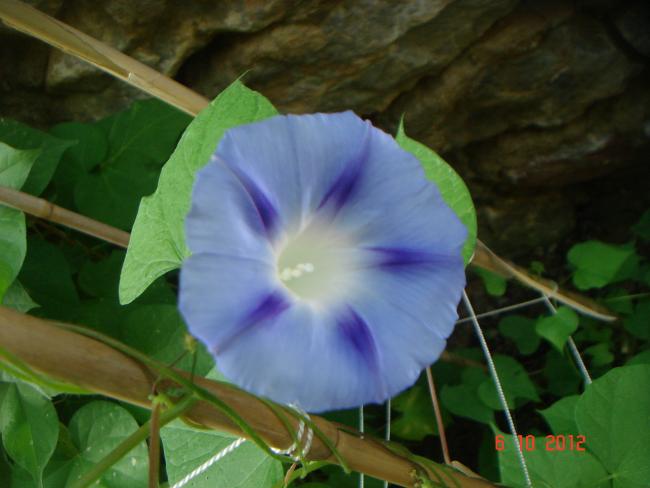 Name:  DSC00436.jpg
Views: 961
Size:  35.1 KB