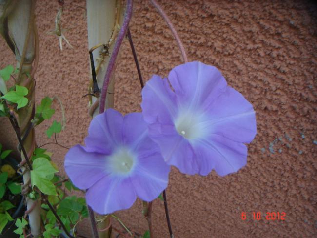 Name:  DSC00470.jpg
Views: 961
Size:  46.8 KB