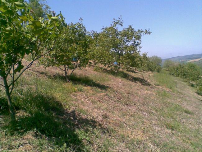Name:  Grnt042.jpg
Views: 1418
Size:  68.8 KB