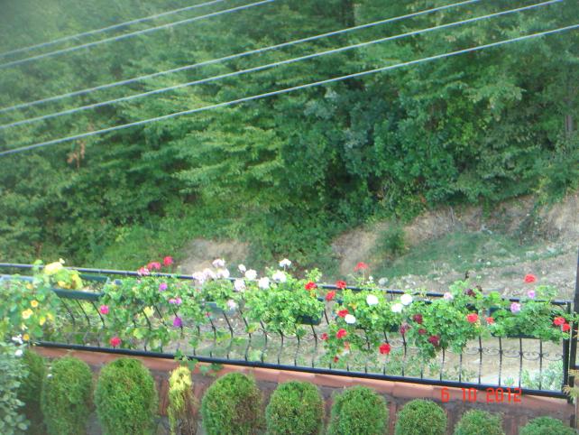 Name:  DSC00306.jpg
Views: 945
Size:  70.6 KB