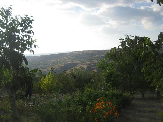 Name:  sebze b..JPG
Views: 1278
Size:  50.4 KB