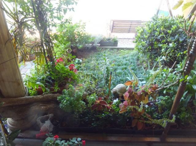 Name:  DSCF6210.jpg
Views: 378
Size:  60.8 KB