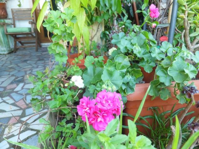 Name:  DSCF6227.jpg
Views: 444
Size:  66.2 KB