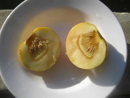 Name:  kavun2.JPG
Views: 1319
Size:  34.7 KB