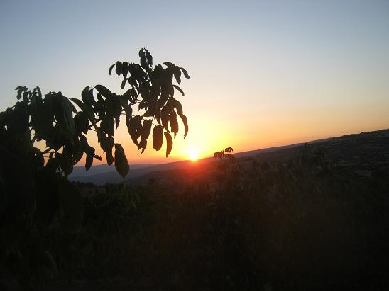 Name: günbatımı.JPG
Views: 1475
Size: 34.4 KB