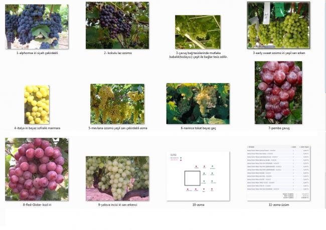 Name:  zm eitleri.jpg
Views: 2001
Size:  45.6 KB
