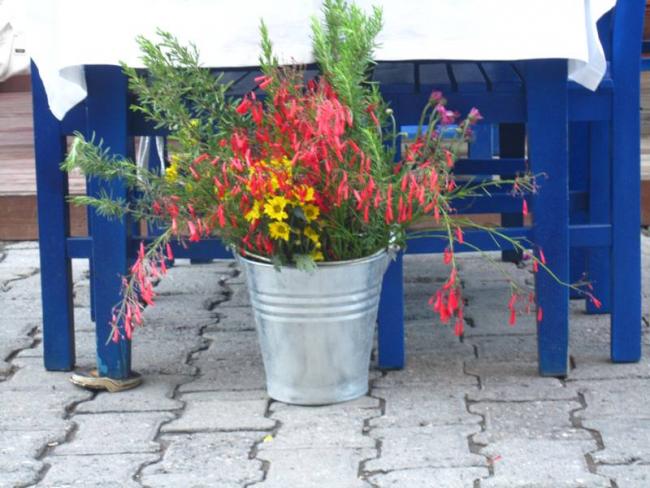 Name:  bodrum1.jpg
Views: 727
Size:  52.4 KB