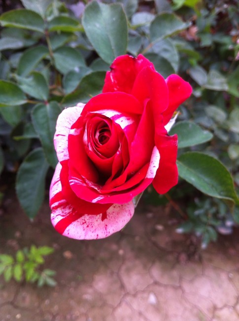 Name:  resim 170.jpg
Views: 743
Size:  67.3 KB