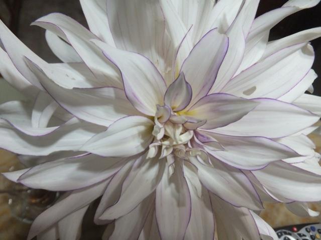 Name:  DSCF6264.jpg
Views: 281
Size:  36.4 KB