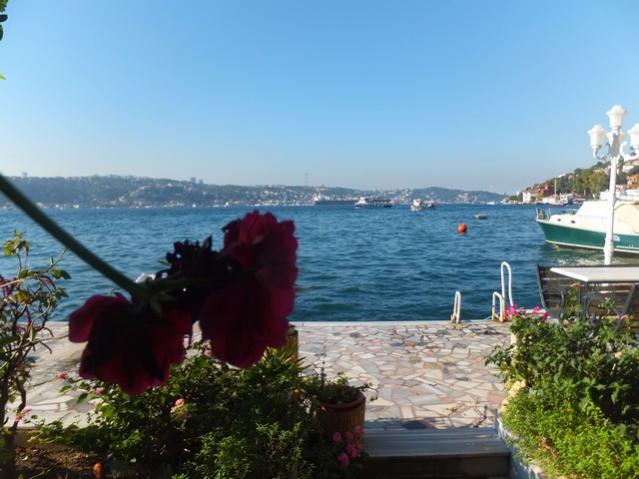Name:  DSCF6291.jpg
Views: 283
Size:  45.1 KB