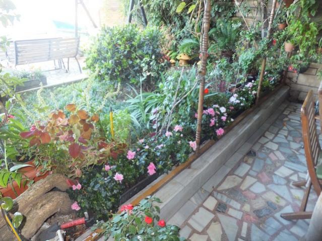 Name:  DSCF6299.jpg
Views: 306
Size:  67.1 KB