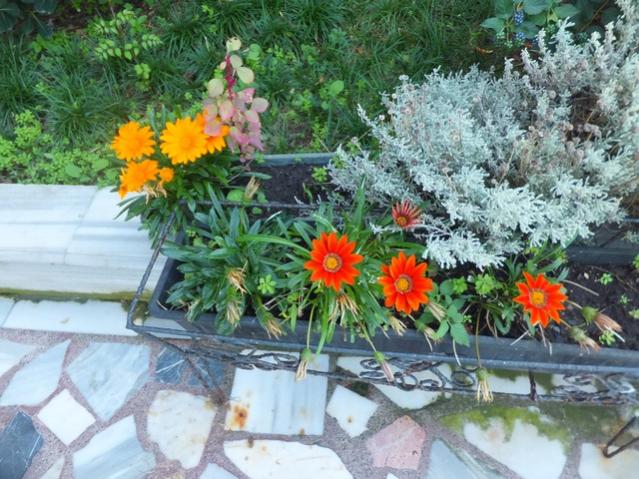 Name:  DSCF6306.jpg
Views: 261
Size:  69.3 KB