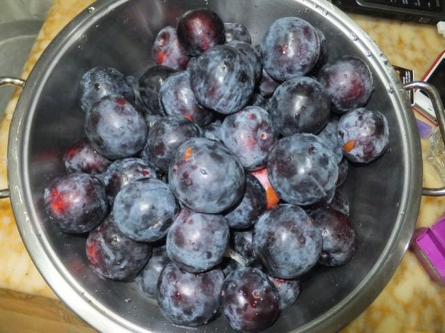 Name:  DSCF6387.jpg
Views: 252
Size:  53.2 KB