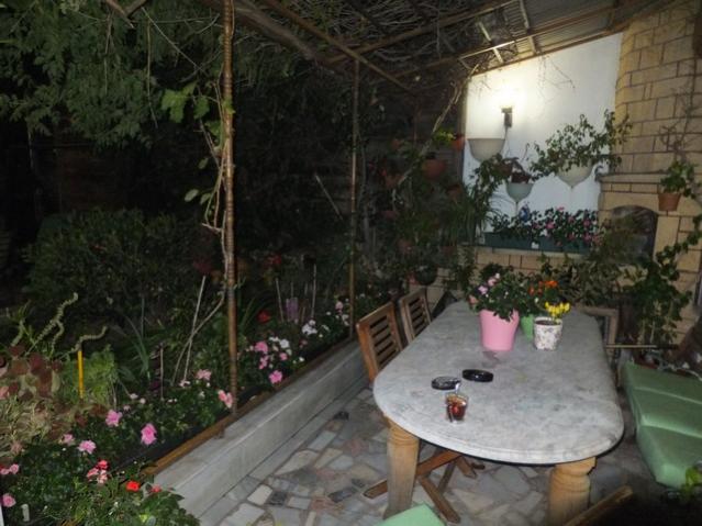 Name:  DSCF6330.jpg
Views: 243
Size:  49.3 KB