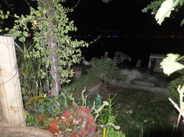 Name:  DSCF6331.jpg
Views: 256
Size:  55.3 KB