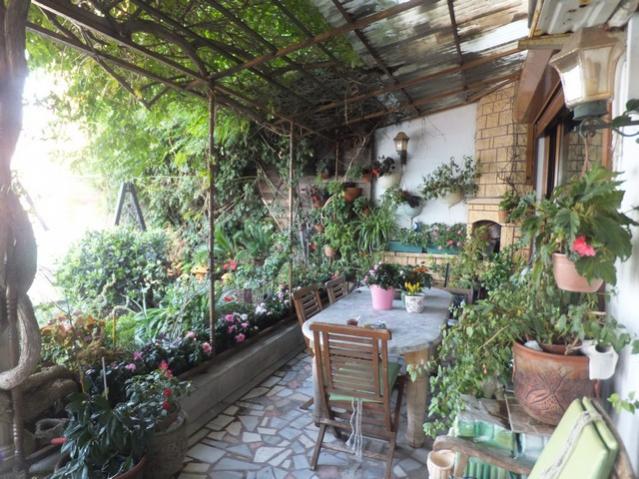Name:  DSCF6350.jpg
Views: 249
Size:  67.5 KB