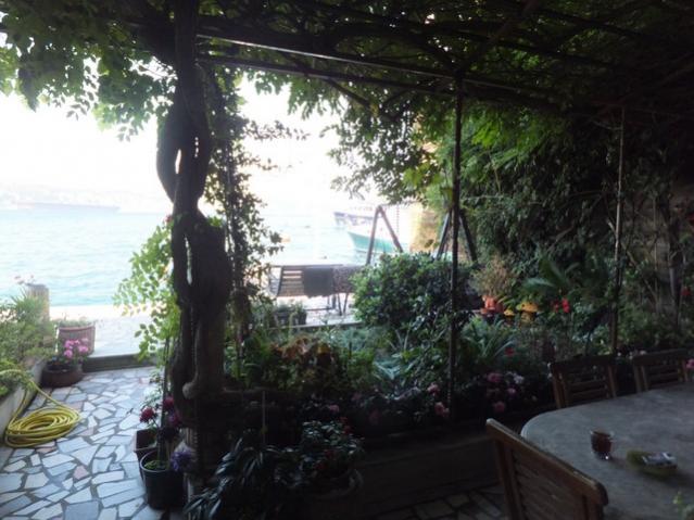 Name:  DSCF6353.jpg
Views: 237
Size:  51.0 KB