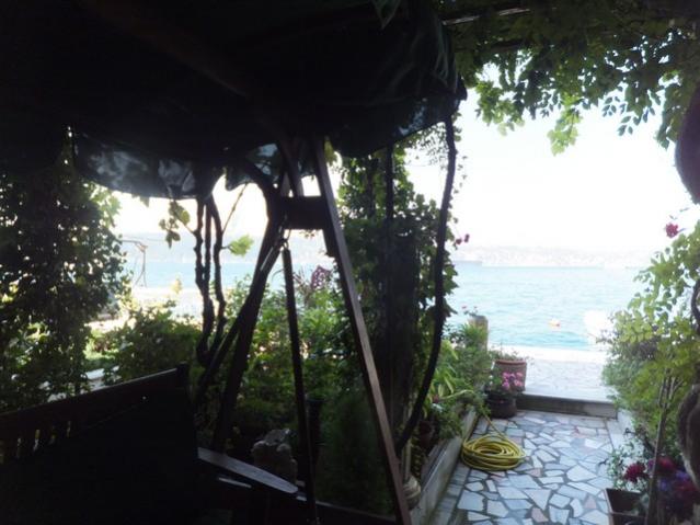Name:  DSCF6354.jpg
Views: 238
Size:  45.0 KB