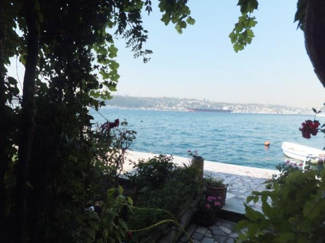 Name:  DSCF6355.jpg
Views: 240
Size:  43.5 KB