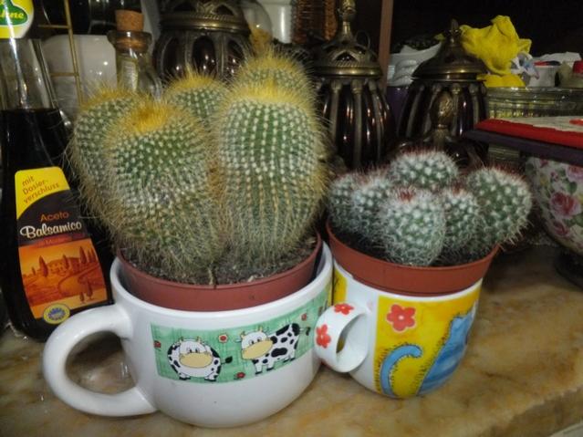 Name:  DSCF6720.jpg
Views: 229
Size:  51.1 KB