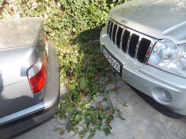 Name:  DSCF6734.jpg
Views: 222
Size:  54.6 KB