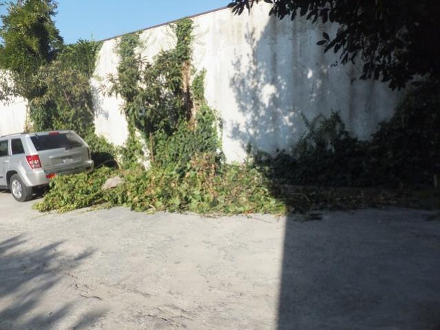 Name:  DSCF6735.jpg
Views: 215
Size:  49.4 KB