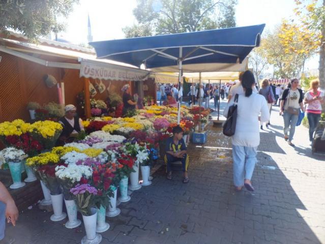 Name:  DSCF6555.jpg
Views: 289
Size:  53.7 KB