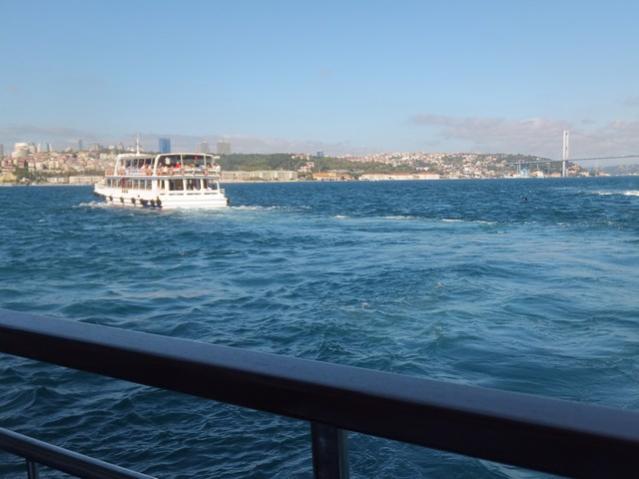 Name:  DSCF6565.jpg
Views: 383
Size:  35.0 KB