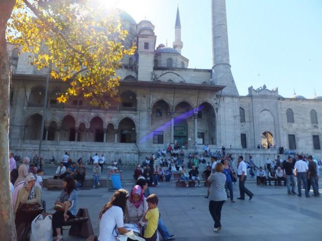Name:  DSCF6613.jpg
Views: 325
Size:  47.6 KB
