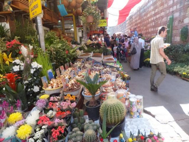 Name:  DSCF6617.jpg
Views: 303
Size:  65.7 KB