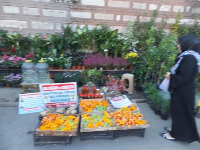 Name:  DSCF6628.jpg
Views: 638
Size:  46.1 KB