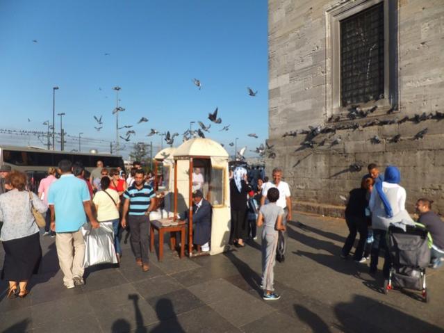 Name:  DSCF6696.jpg
Views: 380
Size:  44.3 KB