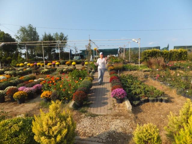 Name:  DSCF6938.jpg
Views: 630
Size:  58.3 KB
