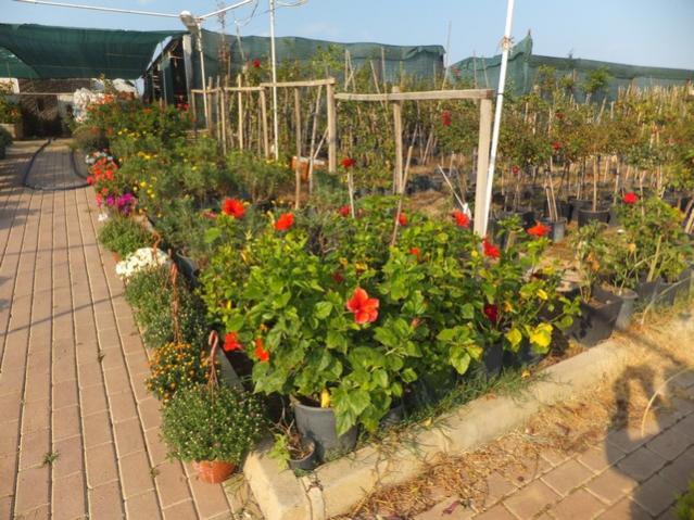 Name:  DSCF6940.jpg
Views: 642
Size:  66.9 KB