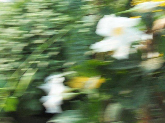 Name:  DSCF6948.jpg
Views: 461
Size:  63.9 KB