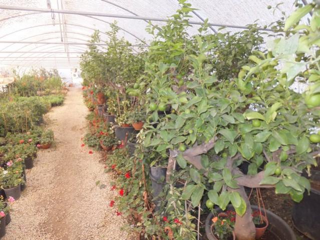Name:  DSCF6954.jpg
Views: 607
Size:  66.0 KB