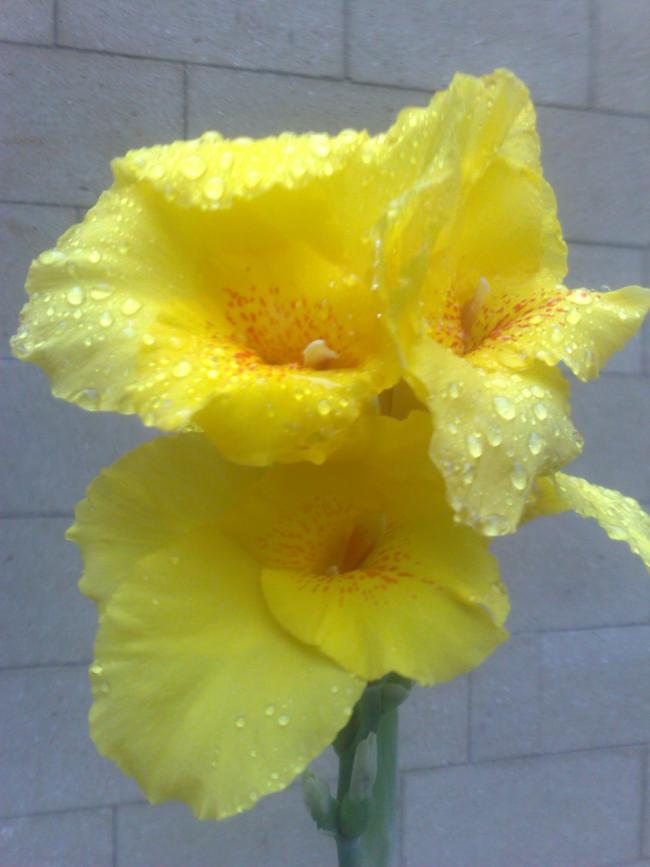 Name:  12042008770.jpg
Views: 1211
Size:  44.7 KB