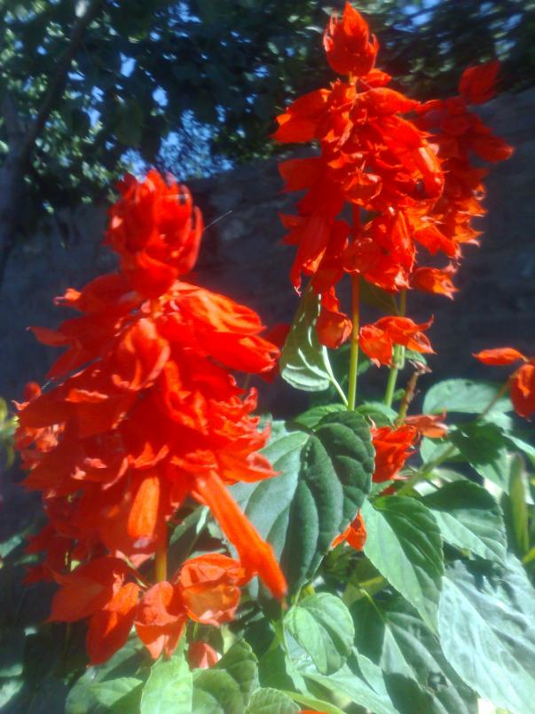 Name:  13102012787.jpg
Views: 1138
Size:  72.8 KB