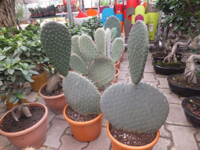 Name:  DSCF6160.jpg
Views: 639
Size:  57.8 KB