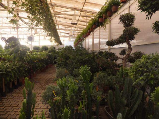 Name:  DSCF6162.jpg
Views: 647
Size:  55.0 KB