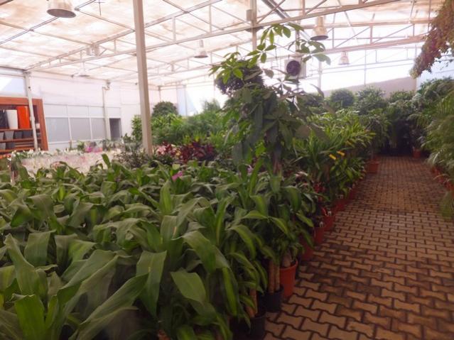 Name:  DSCF6163.jpg
Views: 639
Size:  54.0 KB
