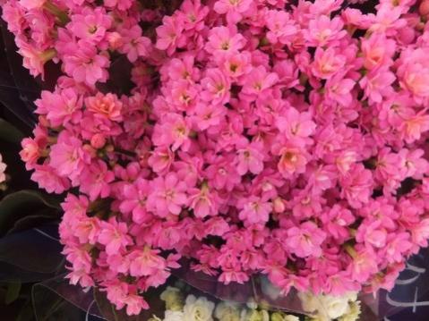 Name:  DSCF6174.jpg
Views: 595
Size:  36.4 KB