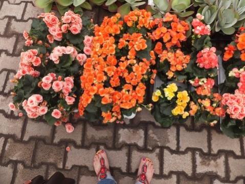 Name:  DSCF6181.jpg
Views: 527
Size:  42.0 KB
