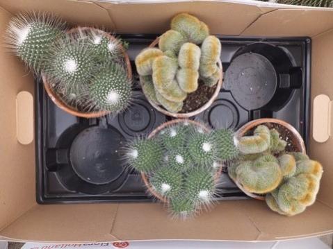 Name:  DSCF6186.jpg
Views: 515
Size:  30.1 KB
