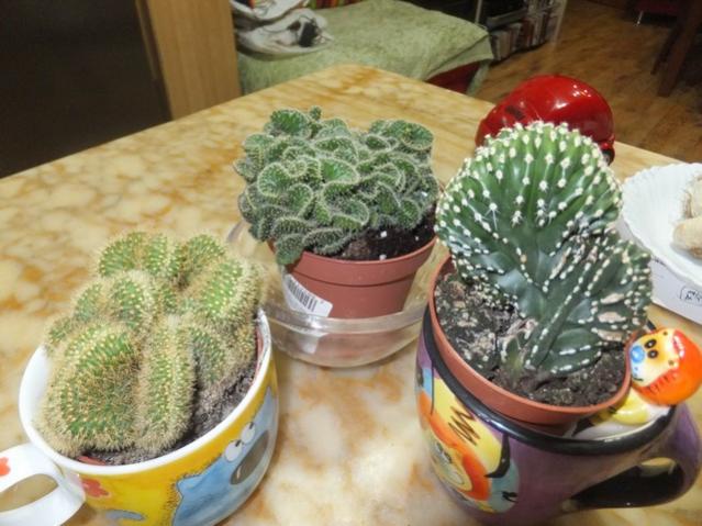 Name:  DSCF6200.jpg
Views: 505
Size:  51.8 KB