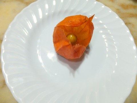 Name:  DSCF6204.jpg
Views: 509
Size:  44.2 KB