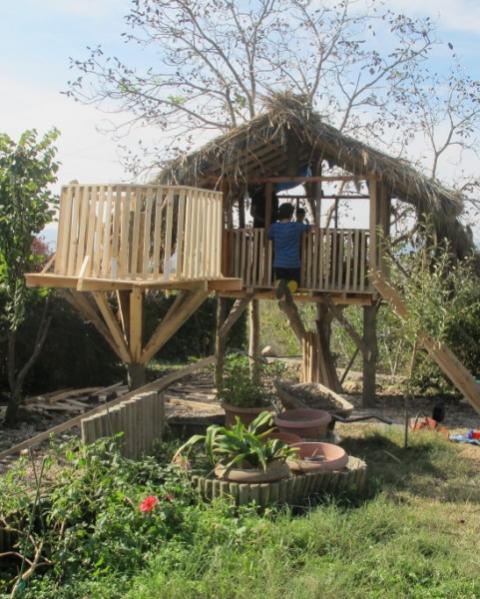 Name:  IMG_0325 (481 x 600).jpg
Views: 1101
Size:  60.6 KB